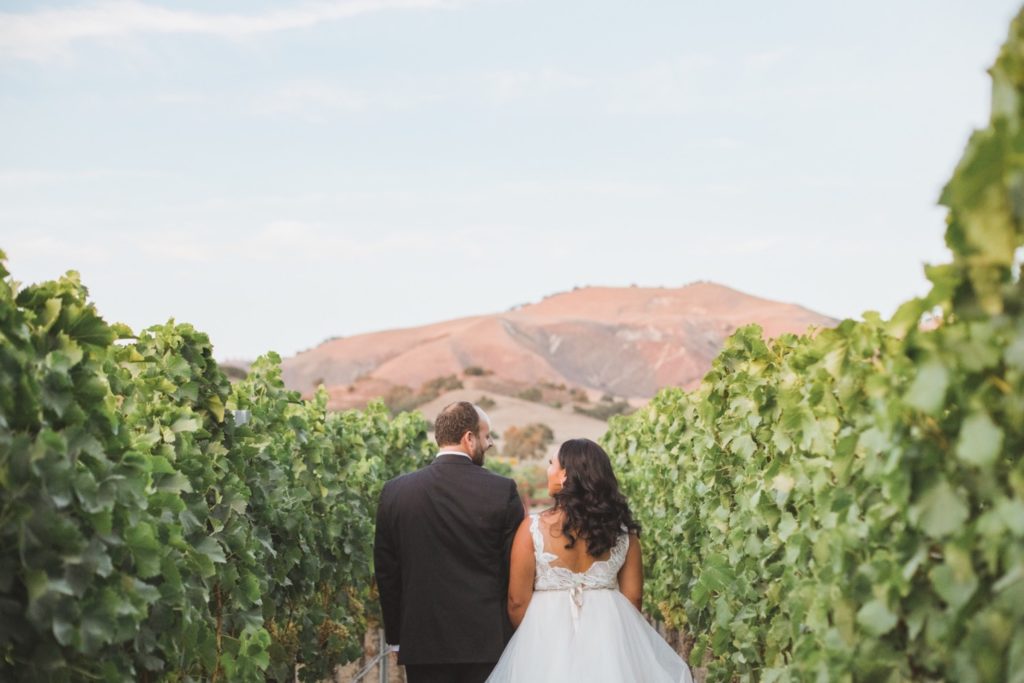 bride and groom in a vineyard